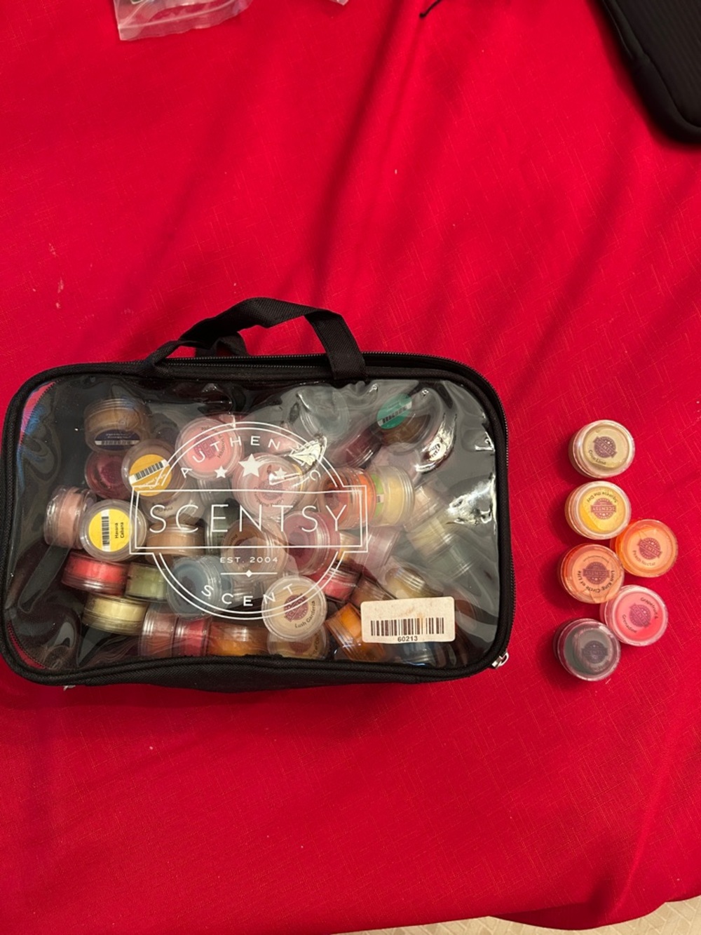 Scentsy summer sample bag kit consultants